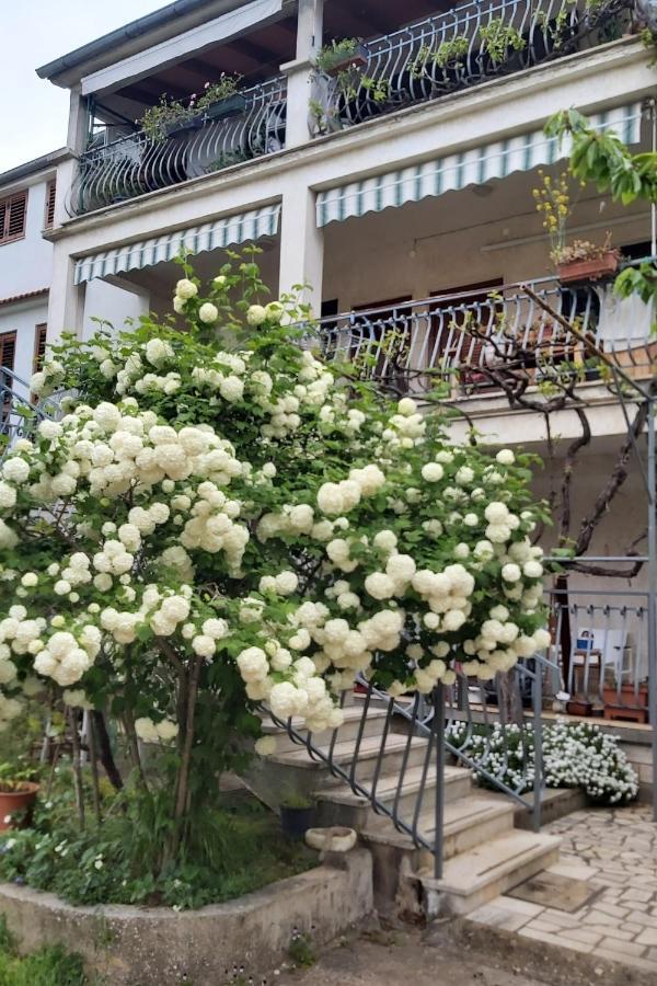 Apartments And Rooms By The Sea Rovinj - 19183 Ngoại thất bức ảnh